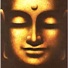 Buddha teachings