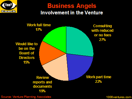 Business Angels involvement in startup private investors