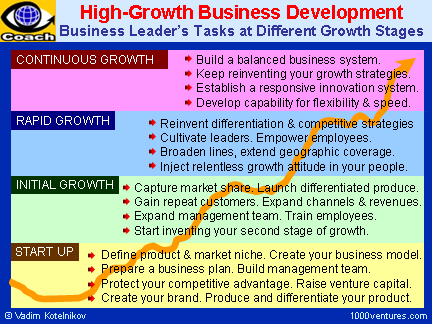 Business plan growth strategy example