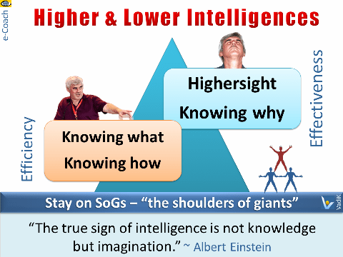 Higher Intelligence vs. Lower Intelligence, Vadim Kotelnikov