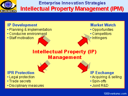 Advantage Property Management on Intellectual Property Management  Free Business E Coach