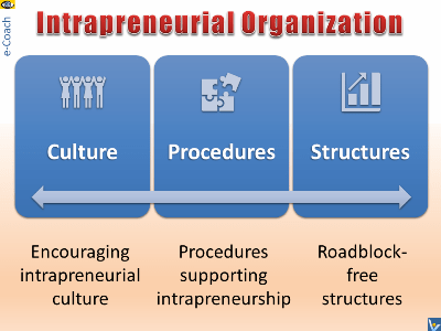 Intrapreneurial Organization - example of transformation
