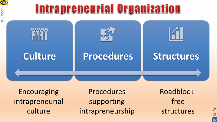Intrapreneurial Organization