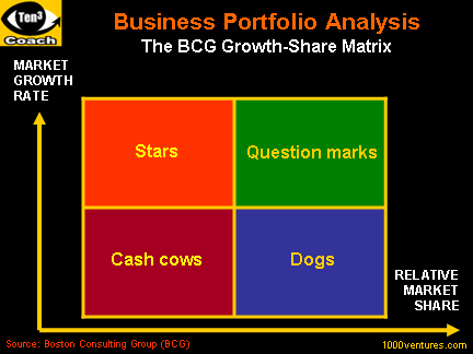 bcg matrix pdf