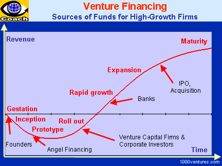 Informal Risk Capital And Venture Capital Pdf To Excel