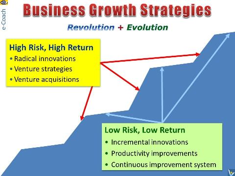 Business Growth Strategies HR2 LP2 - high risk high return,low risk, low retunr