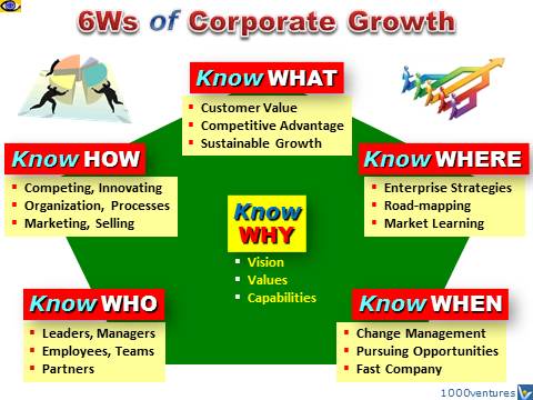 6Ws of Corporate Sustainable Growth and Business Success