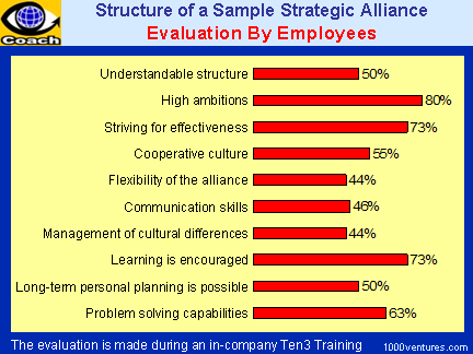 Strategic Alliance Strucure assessment by employees survey