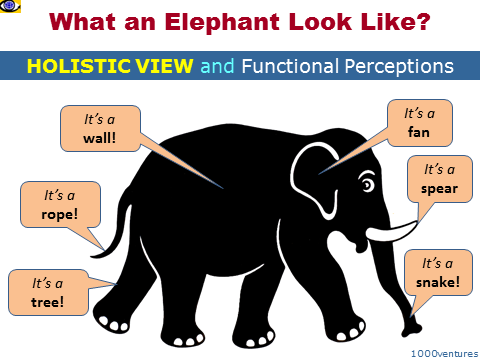 Perceptions vs Holistic View: Elephant perceived by six blind men