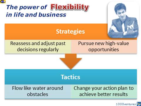 Flexibility - strategic and tactic flexibility benefits for life and business, Dennis Kotelnikov