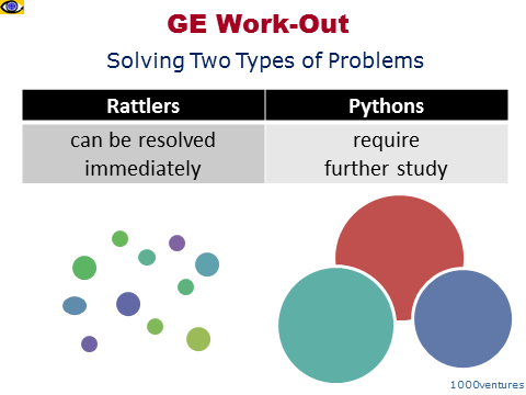 GE Work-Out - Rattlers Pythons - two types of problems solved