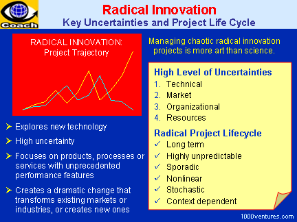 Radical Innovation and Radical Project Management
