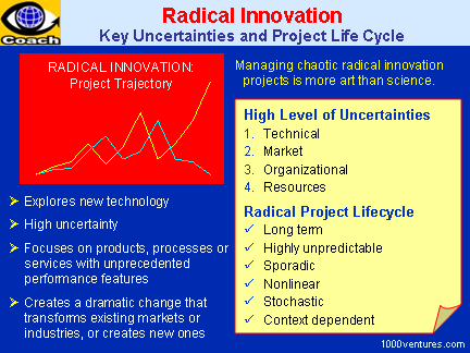 Radical Innovation: Disruptive Project Management - Uncertainties,  Challenges, Solutions