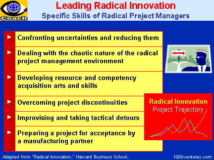 Leading Radical Innovation Projects, Radical Project Management, Specific Skills of Radical Project Managers