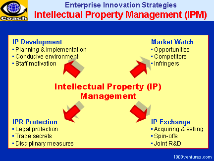 IPR: Intellectual Property Management (IPM)