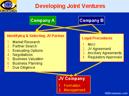 Developing Joint Ventures