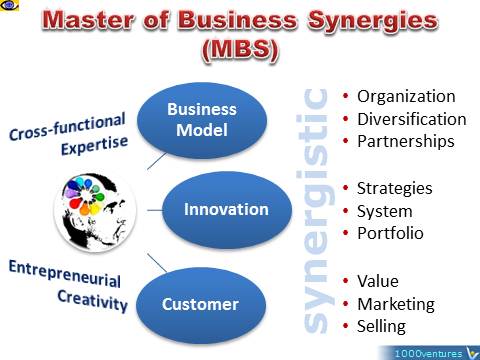 Master of Business Synergies (MBS)