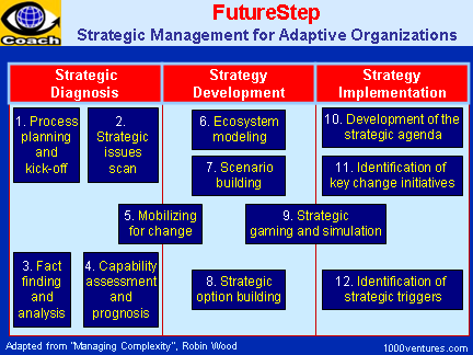FutureStep - Strategic Management Process for Adaptive Organizations - How To Manage Complexity