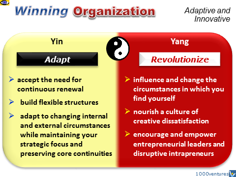 Winning Organization - Yin and Yang strategies