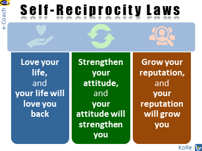 Self-Reciprocity Laws - know them and do yourself yourself (DYY)