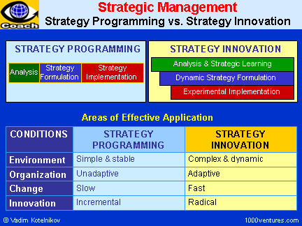 Strategic Management: Strategy Innovation vs. Strategy Programming
