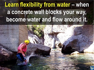 Smart Success quotes Learn flexibility from water flow around obstacles Vadim Kotelnikov