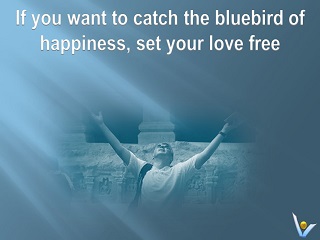 vk q happiness love blue bird